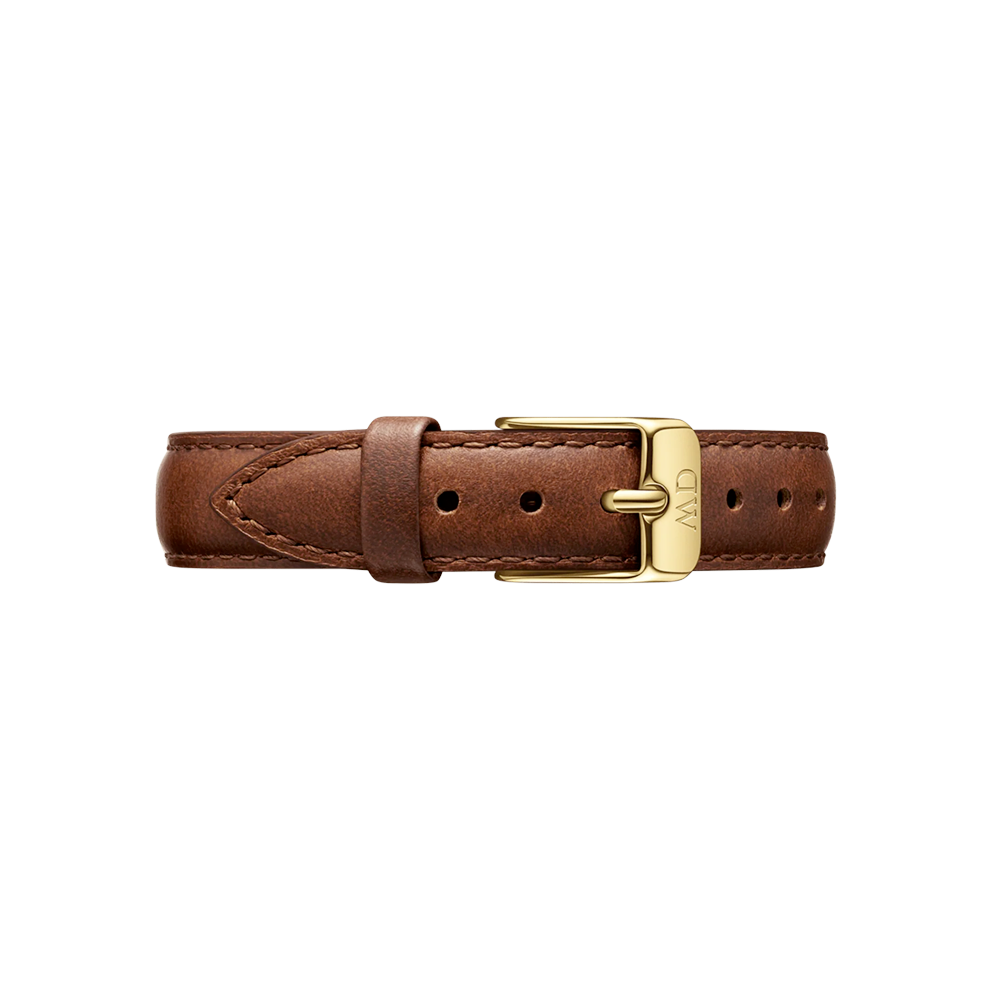 Daniel Wellington - Cinturino St Mawes in pelle con ardiglione dorato | 12/12