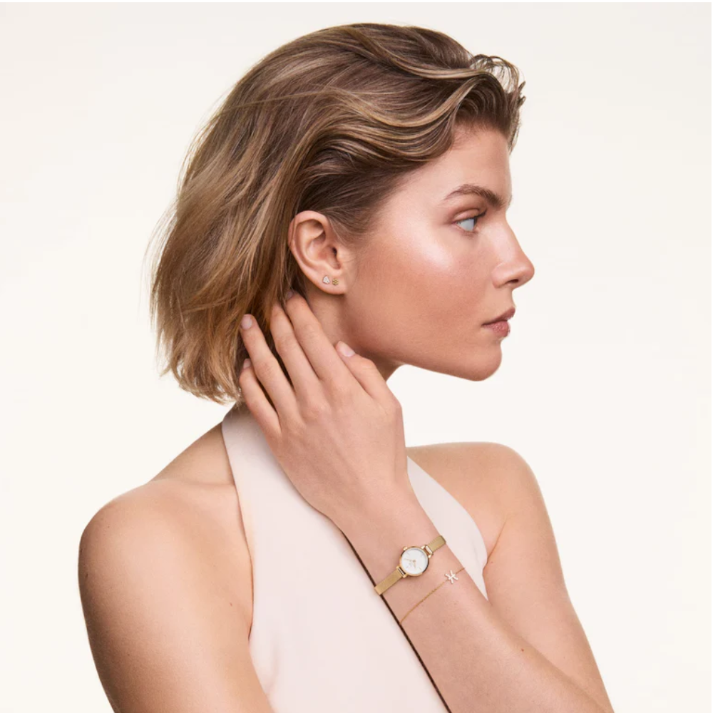 Daniel Wellington - Orologio solo tempo Petite Mini Evergold al quarzo | 19mm