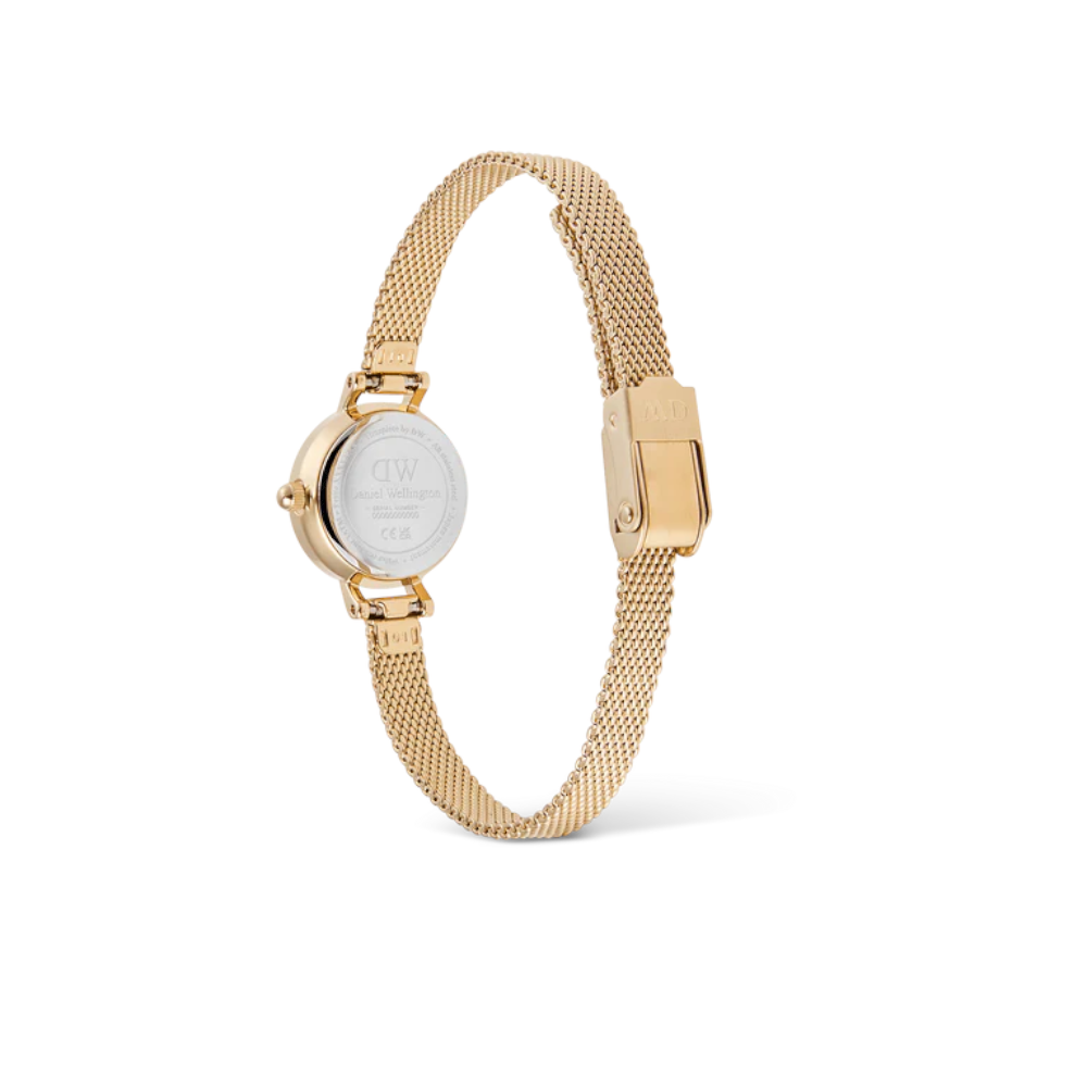 Daniel Wellington - Orologio solo tempo Petite Mini Evergold al quarzo | 19mm