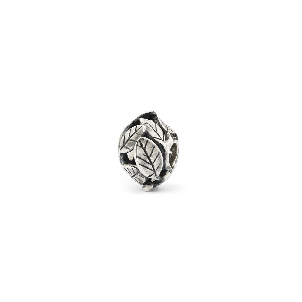 Trollbeads - Bead Scrigno Di Foglie