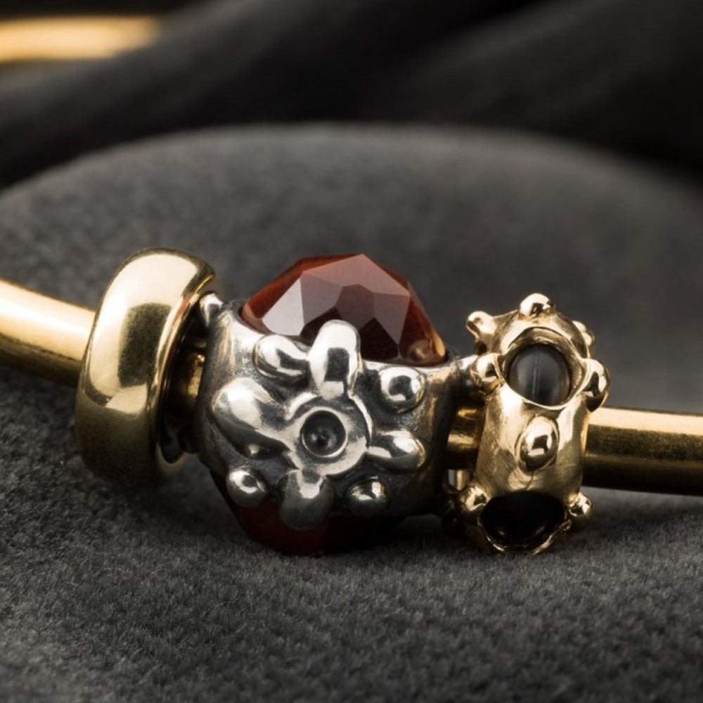 Trollbeads - Bead Dono Della Perseveranza