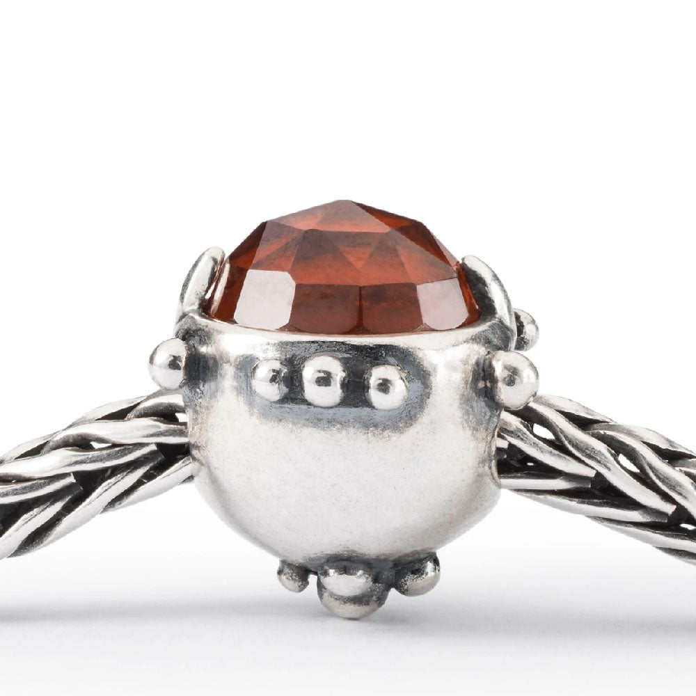 Trollbeads - Dono Dell&#39;Amicizia