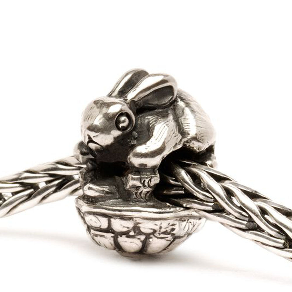 THE HARE AND THE TURTLE