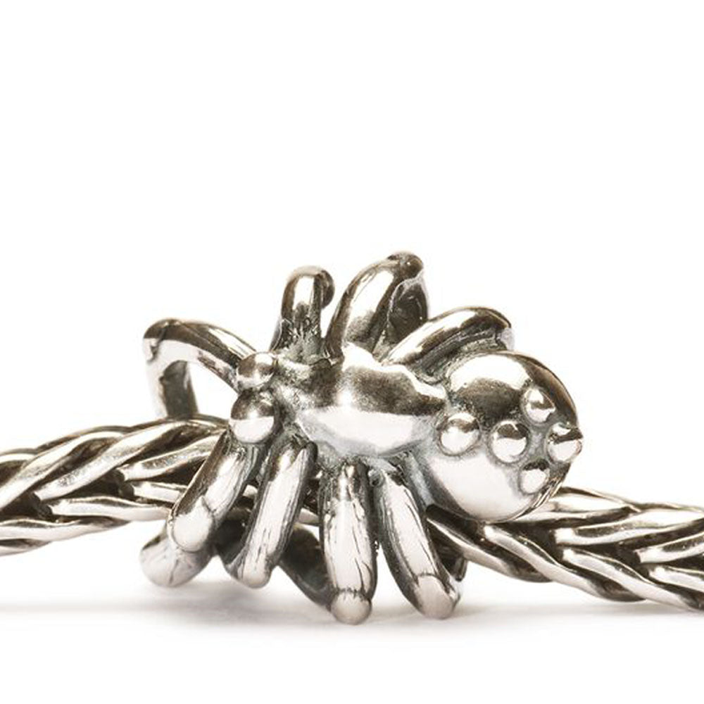 SPIDER BRINGS PROFIT