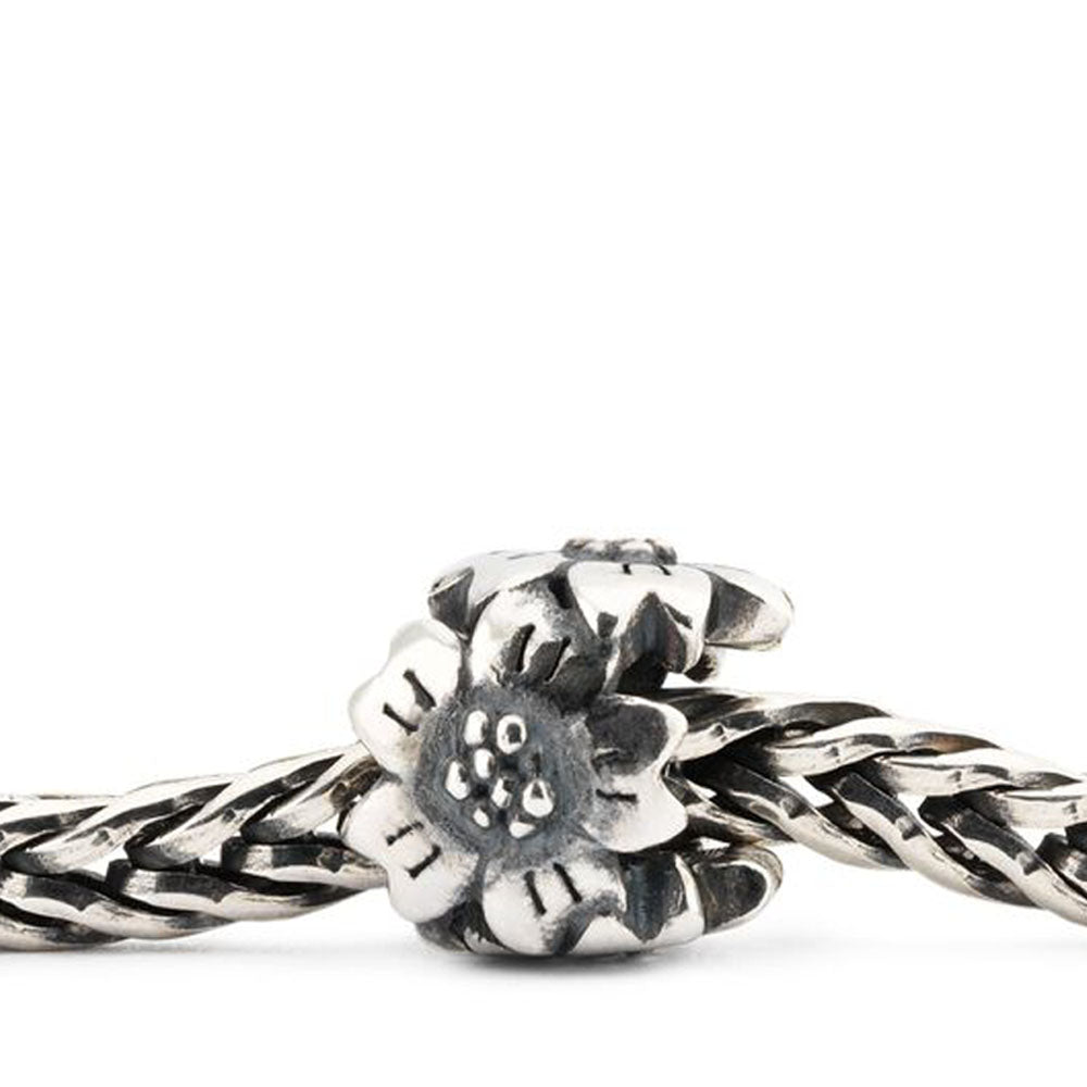 Trollbeads - Bead Sakura