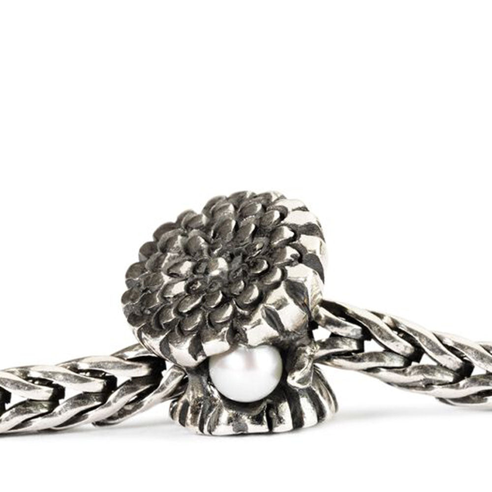 CALENDULA OF OCTOBER